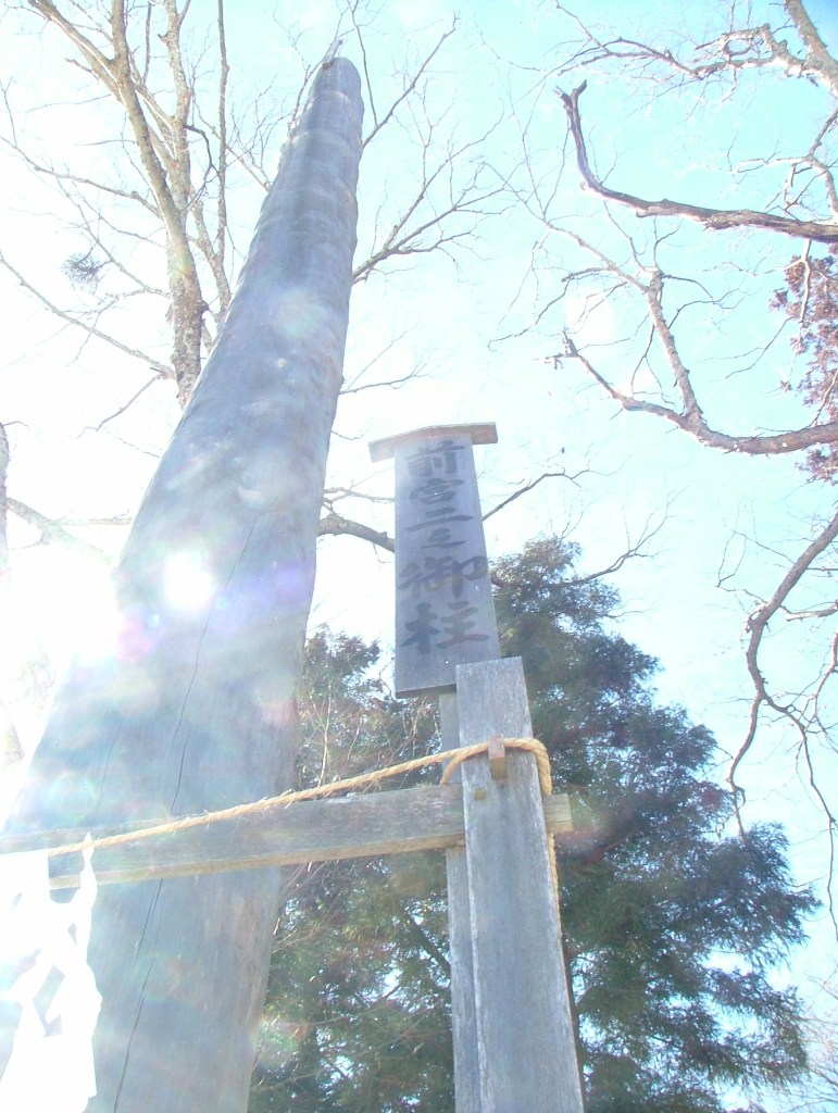 Maemiya's second pillar